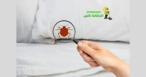 مكافحة الحشرات في مكة علي يد أفضل عمالة بالضمان