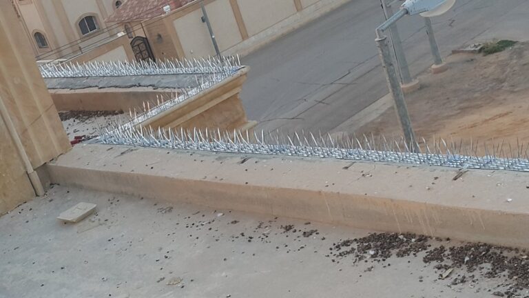 شركة تركيب طارد حمام بمكة 1 مكافحة الحمام بمكة