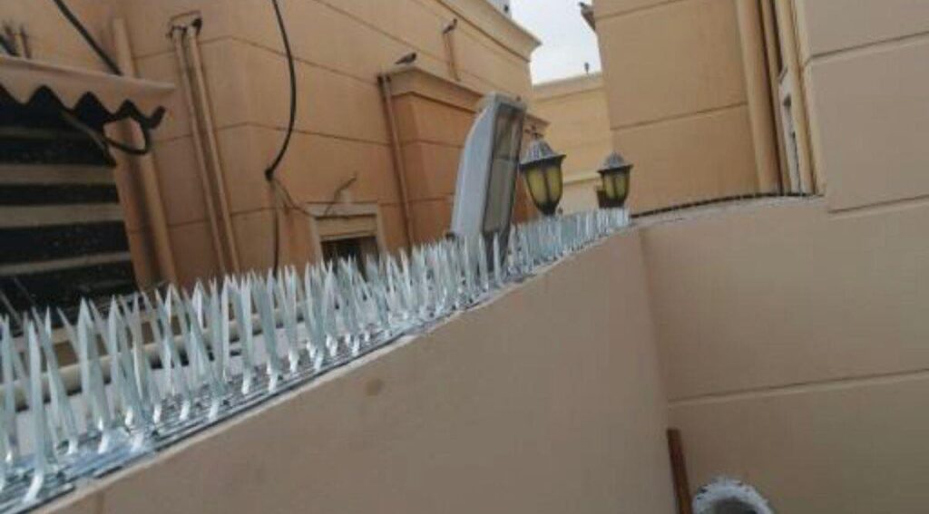 شركة تركيب طارد حمام بمكة 3 شركة مكافحة حمام بمكه المكرمة